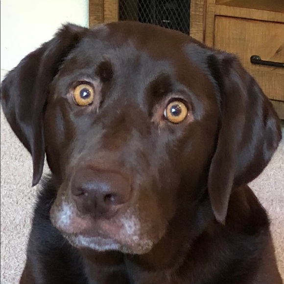 Meet your Posher, Amy - Picture 8 of 8